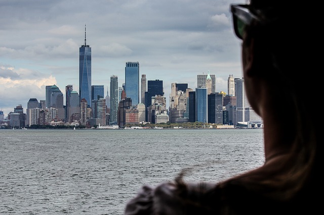 pohled na new york city